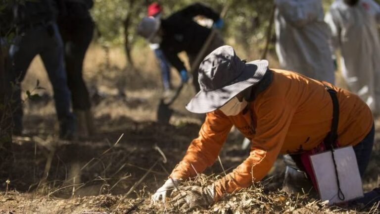 AMLO apoya ‘pacto de paz’ con grupos del crimen organizado propuesto por madres buscadoras